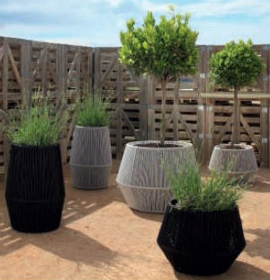 Go Green - Potted Plants