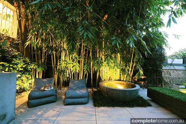 REAL BACKYARD: Inner city courtyard garden design - Completehome
