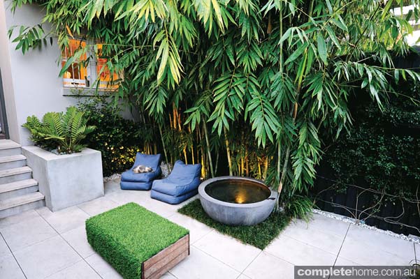 REAL BACKYARD: Inner city courtyard garden design - Completehome