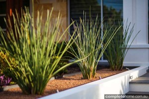 garden design