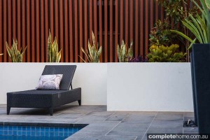 pool and garden landscaping