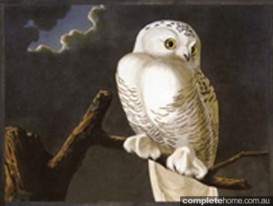 Snowy Owl Painting from cocorepublic
