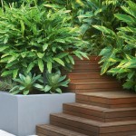 Modern, family-oriented outdoor area