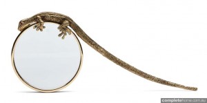 Gecko Magnifying Glass