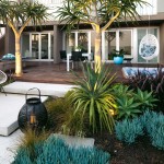 California Dreaming: A contemporary style outdoor entertaining dream