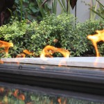 Hidden jewel: A lush urban courtyard garden