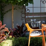 Hidden jewel: A lush urban courtyard garden