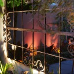 Hidden jewel: A lush urban courtyard garden