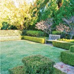 A Total Concept garden lawn