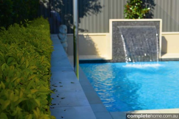 jakin pool with landscaping and water feature