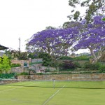 Untitled_Panorama25