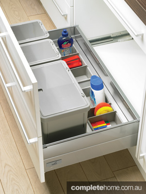 Undersink Drawer - Photos & Ideas