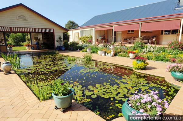 Convert your pool into a pond - Completehome