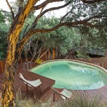 An enchanting eco-friendly coastal garden