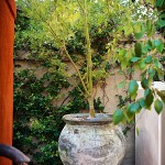 Contemporary Garden & Light Design