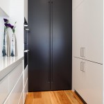 Black and white contemporary kitchen