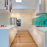 Vibrant, dramatic kitchen design