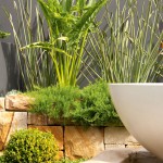 Contemporary landscaped spaces