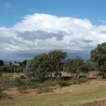 Cowra Williams