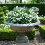 Garden tips: Spring-i-fy your garden