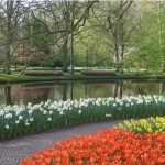 Block planting