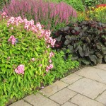 wisley border