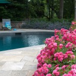 Pool in the garden