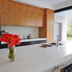 Staron 1