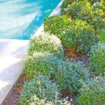 Sydney splendour: Traditional gem