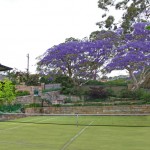 Untitled_Panorama25