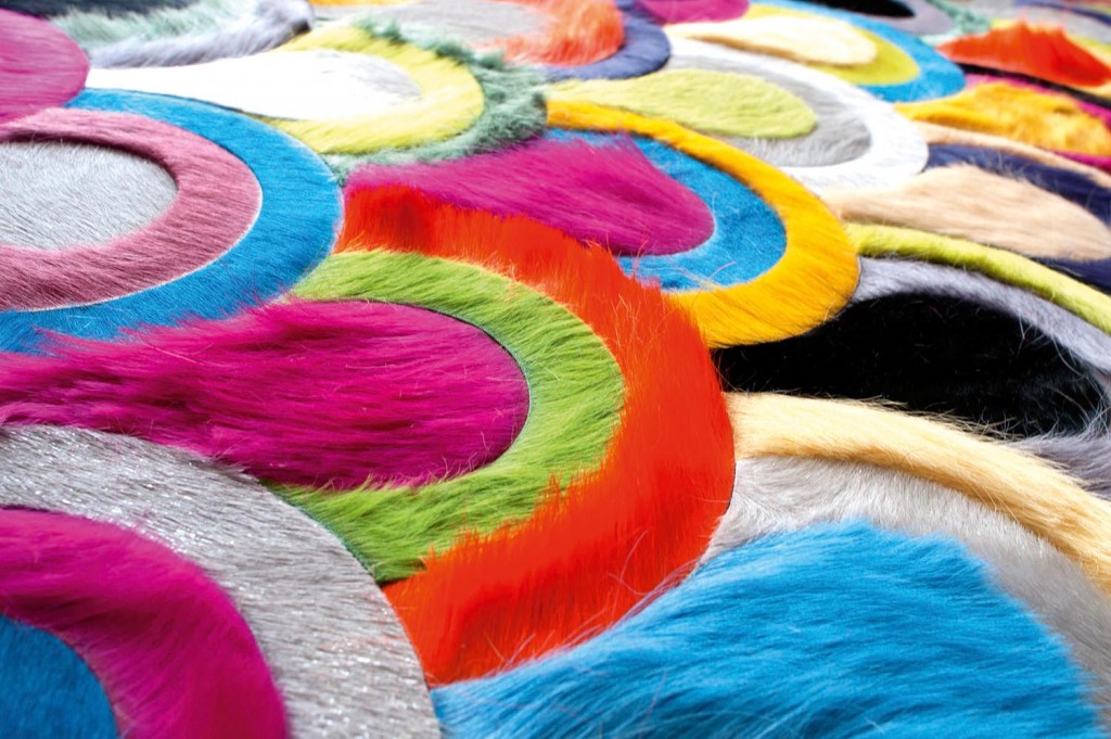 Shift in Multiple Colors (upclose)
