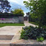 Sandstone steps next to trees and ivy