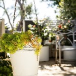 sitedesign_outdoor rooms 6