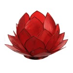 cabbagecapizred