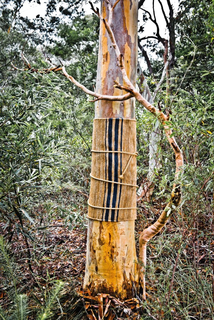 HR-Armidillo River-11