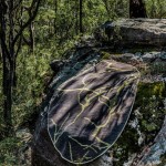 HR-Rugs of Disctintion Egg-17