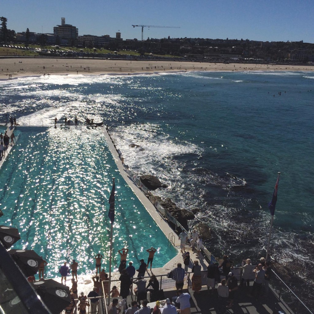 2 BONDI_pic_Anne-Maree_sargeant