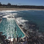 2 BONDI_pic_Anne-Maree_sargeant