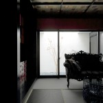 COLORS_39