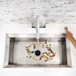 A view of a simple sink and food scraps in it