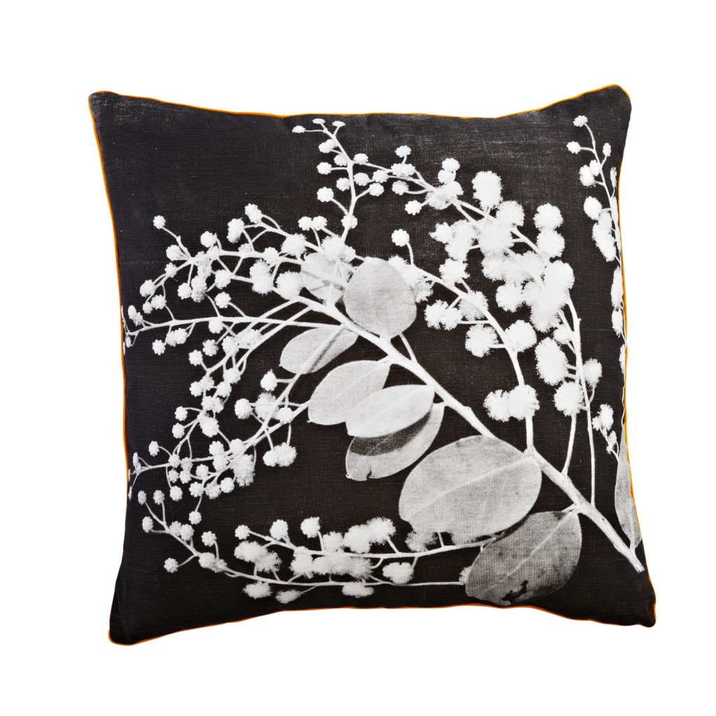 8_Wattle-Black