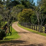 Grand Designs Australia: Best of both worlds
