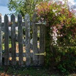Grand Designs Australia: Best of both worlds