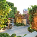 Real backyard: Easy elegance