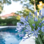 PSS024_Good Manors Landscaping_L1030172