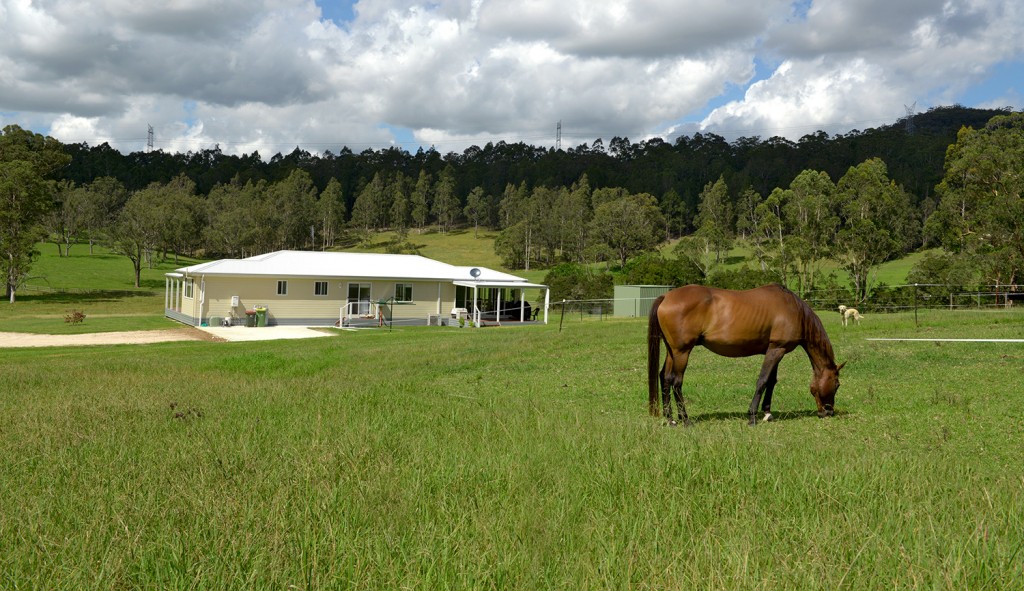 Manor - Mitchell 5 - Dooralong landscape