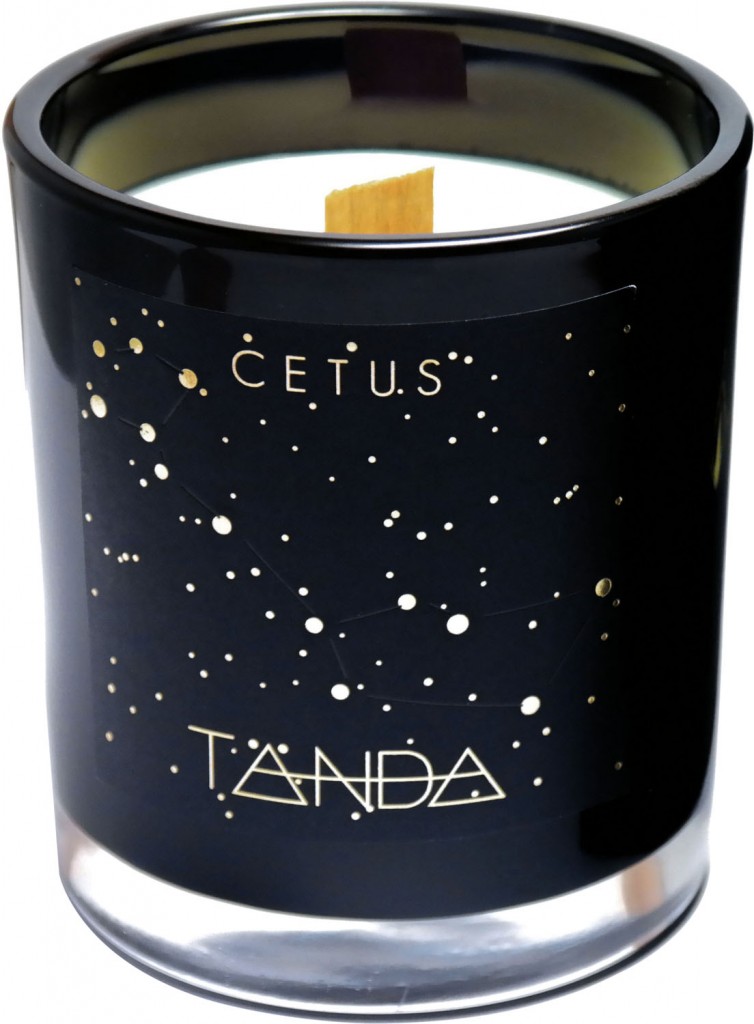 Cetus candle from the Constellations Collection, $44, tandamodern.com