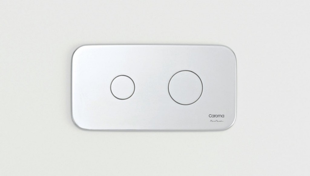 Flush Plate