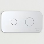 Flush Plate