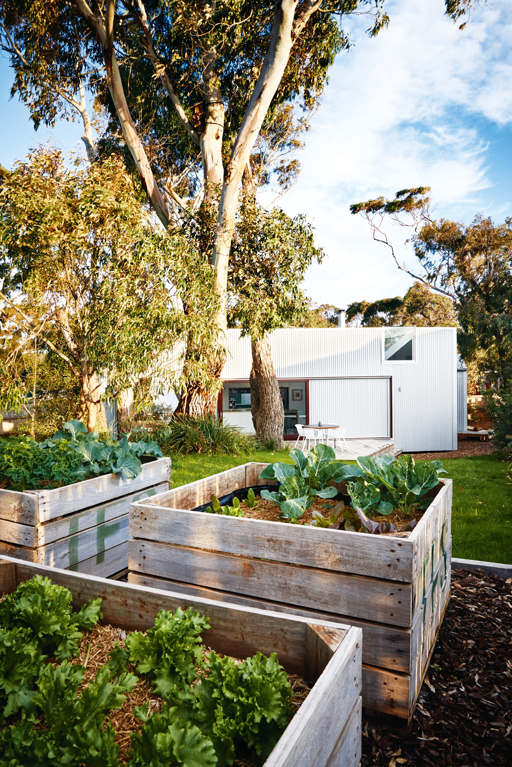 Grand Designs Australia Tree House Completehome Grand Designs Australia Tree House Completehome